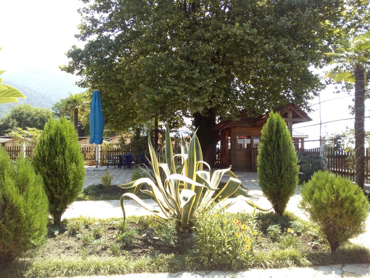 Старые Гагры Gagra Exterior photo